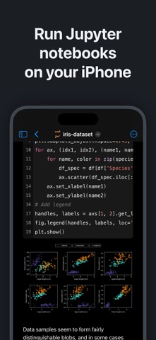 Juno – Python and Jupyter Screenshot 4 of 7