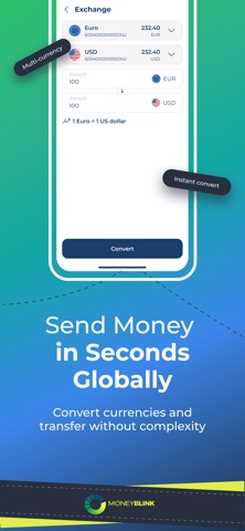 Money Blink Limited screenshot