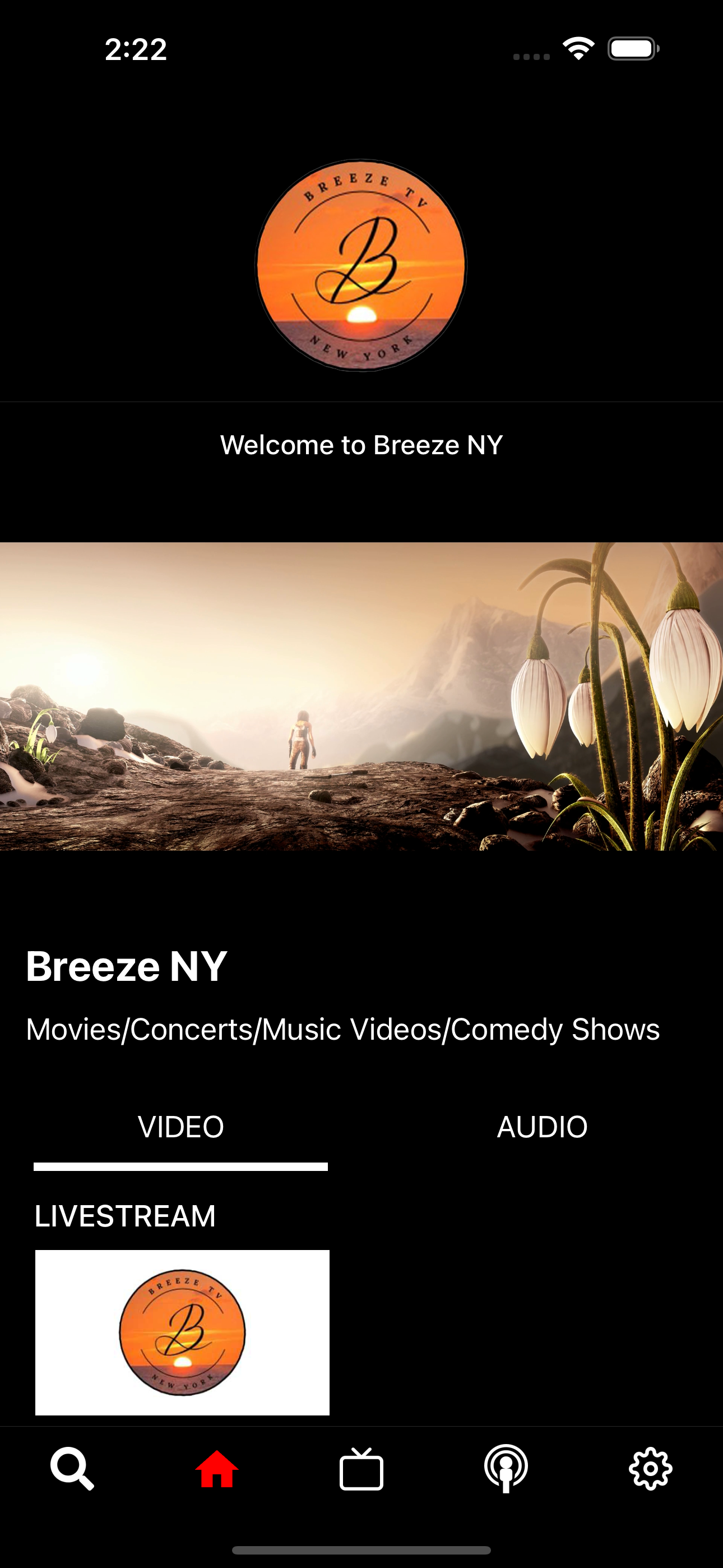 Breeze NY