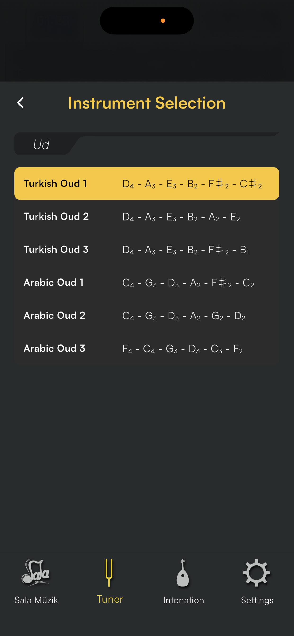 Sala Tune screenshot 5