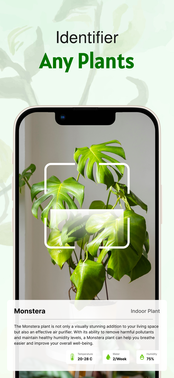 PlantPro Identifier  Disease