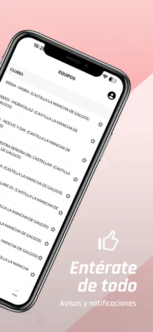 FEDERACIÓN GALGOS CLM screenshot 3