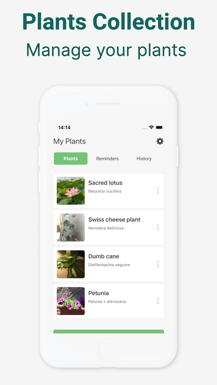 Plant Identification - Care