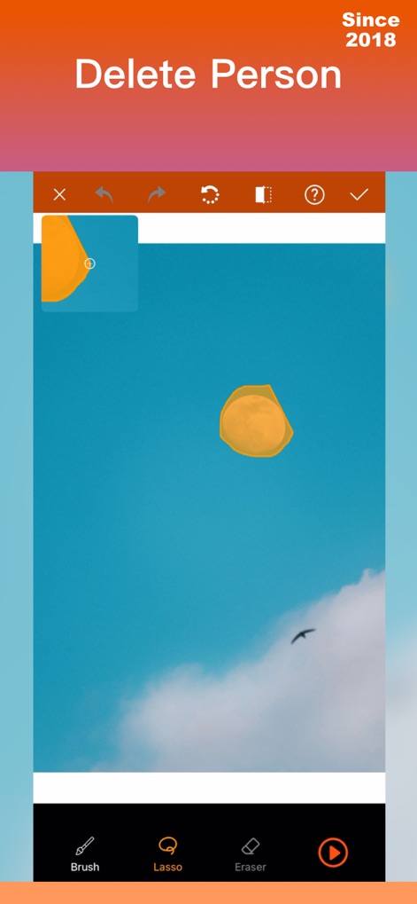 iRetouch - Photo Video Eraser - The app provides advanced selection options like the 'Lasso' tool, complemented by convenient 'undo/redo' functionality for refined edits.