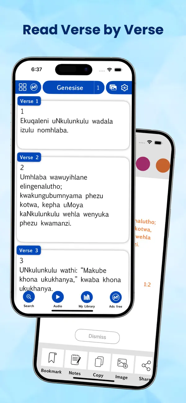 Screenshot #1 pour Zulu Bible