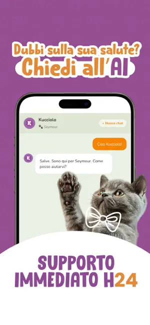 Kucciolo screenshot 2