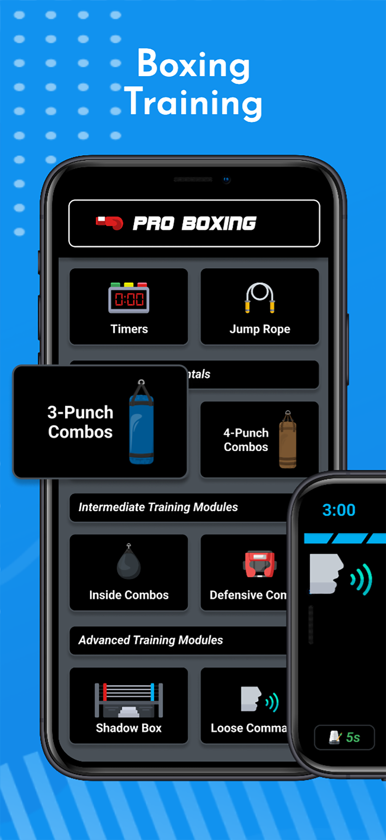 PRO BOXING: Training & Workout