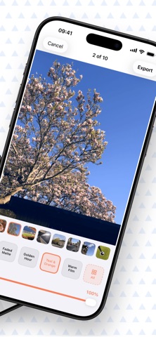 RAWCraft: LUT Photo Editor iPhone screenshot