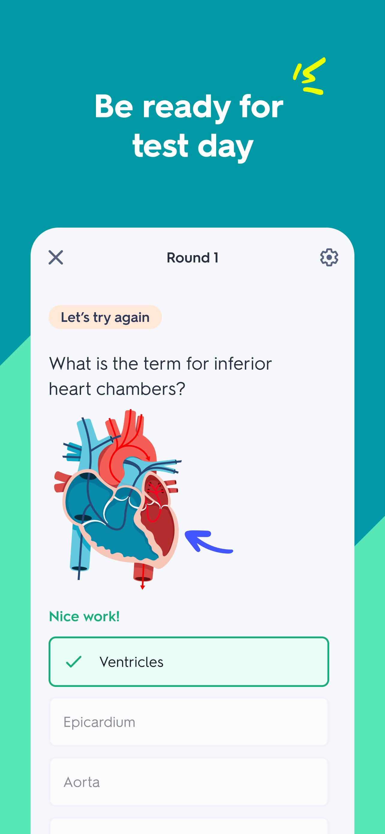 Quizlet: Study with Flashcards