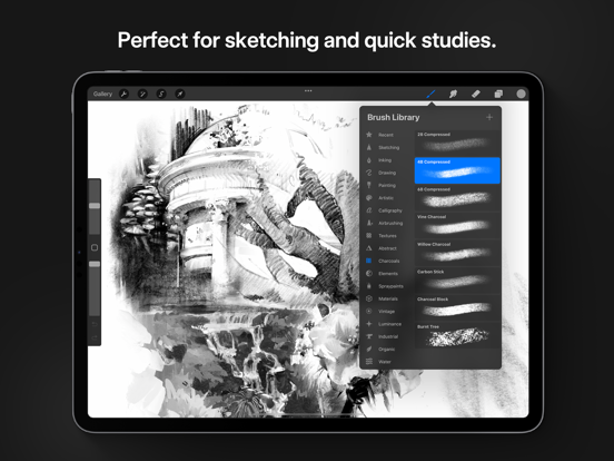 Procreate iPad app afbeelding 9