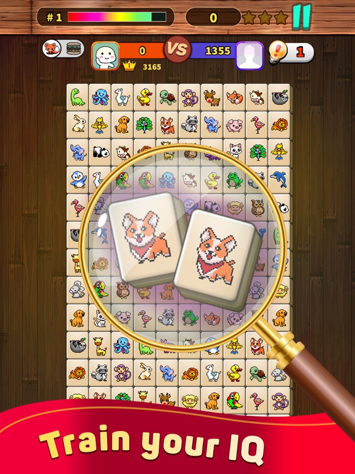 Onet X Connect Matched Animal