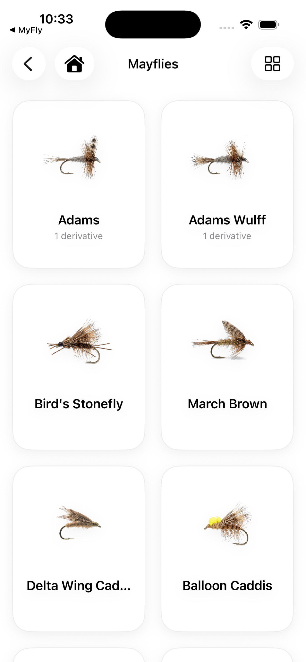 MyFlies screenshot 2