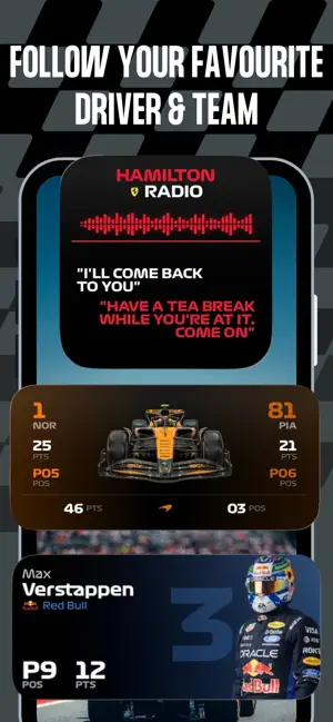 GridBox: F1 Widgets screenshot 2