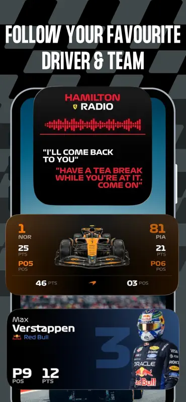 GridBox: F1 Widgets screenshot 2 of 7