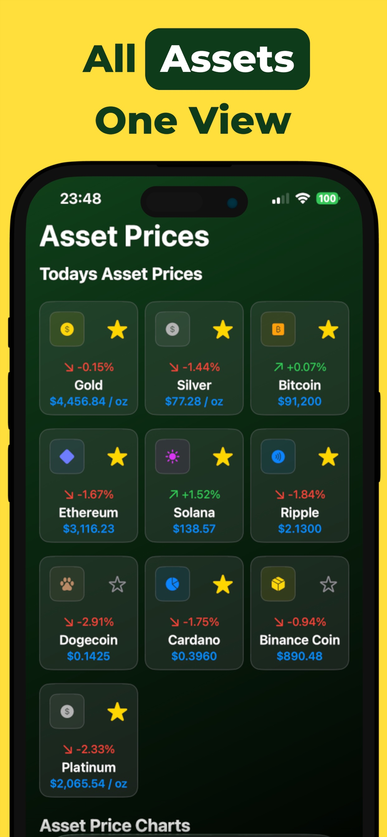 Net Worth Tracker : Assets screenshot 3
