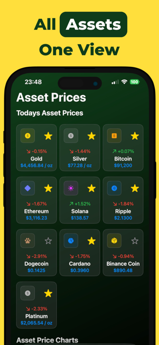 Net Worth Tracker : Assets Screenshot 3 of 6