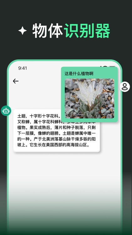 Chat中文版 - AI人工智能聊天助手
