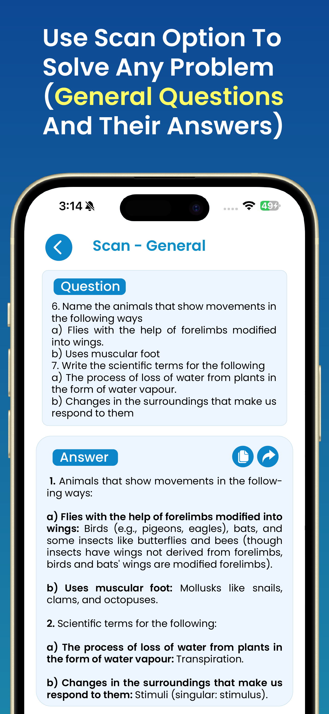 QuickSolve - AI Problem Solver screenshot 3