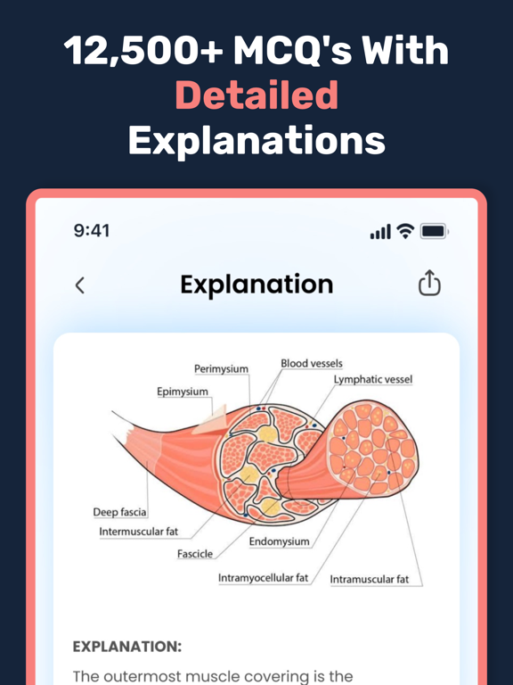 Chiro Board Review | NBCE iPad screenshot 6 - Education app