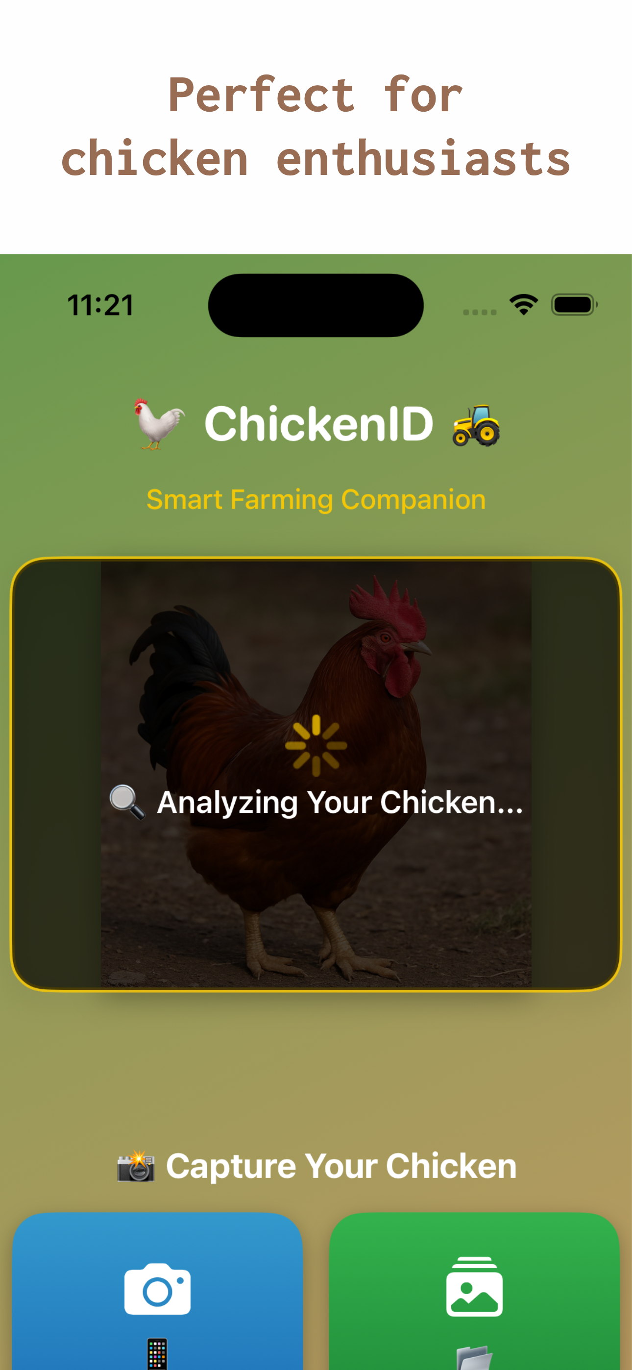 Chicken Identifier : ChickenID