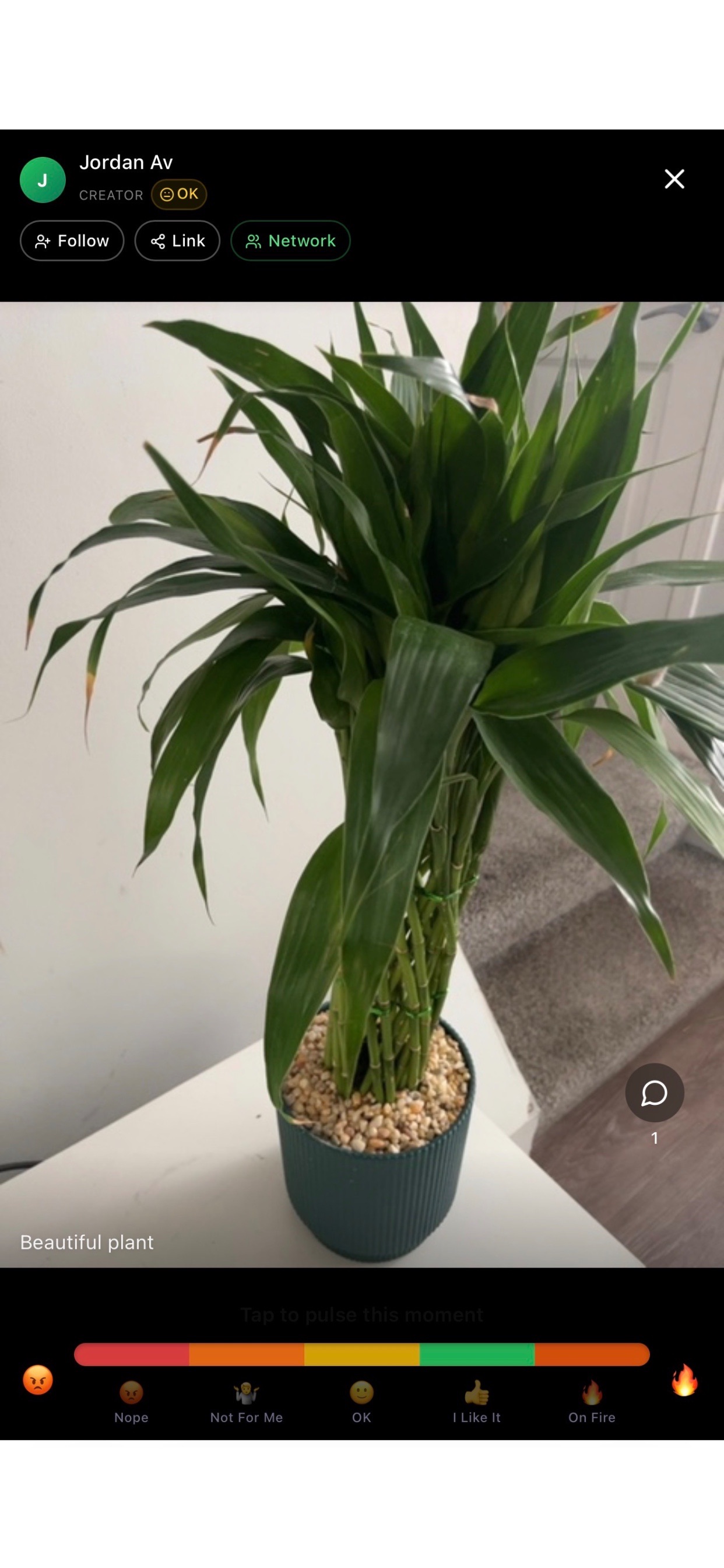 Screenshot 8 of Pulse-Me