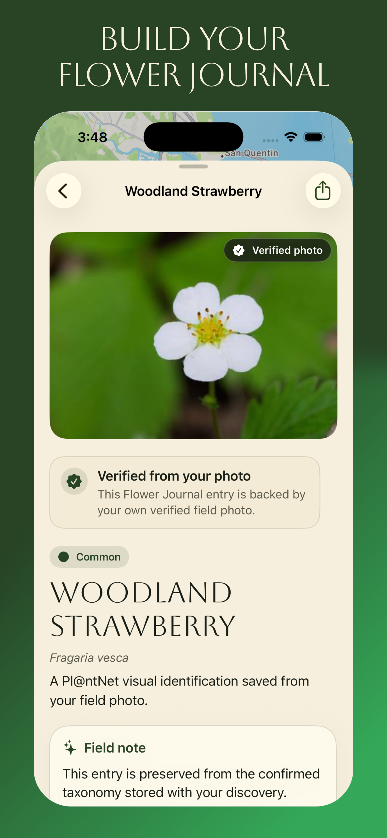 Ok Bloomer screenshot 2