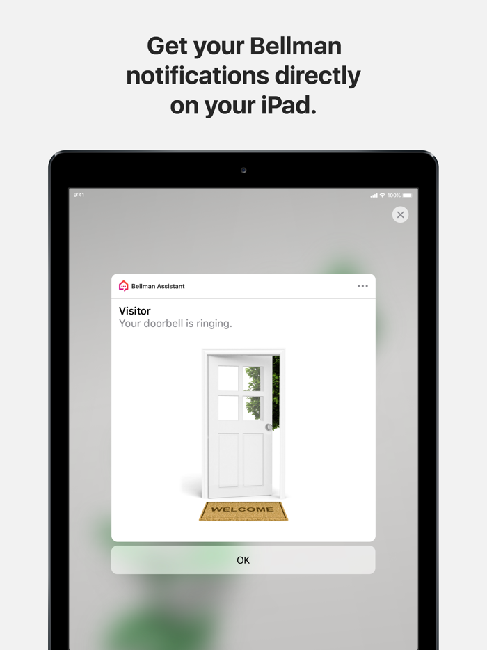 Assistant by Bellman