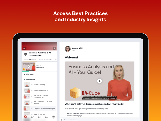 BA-Cube iPad screenshot 3 - Business app