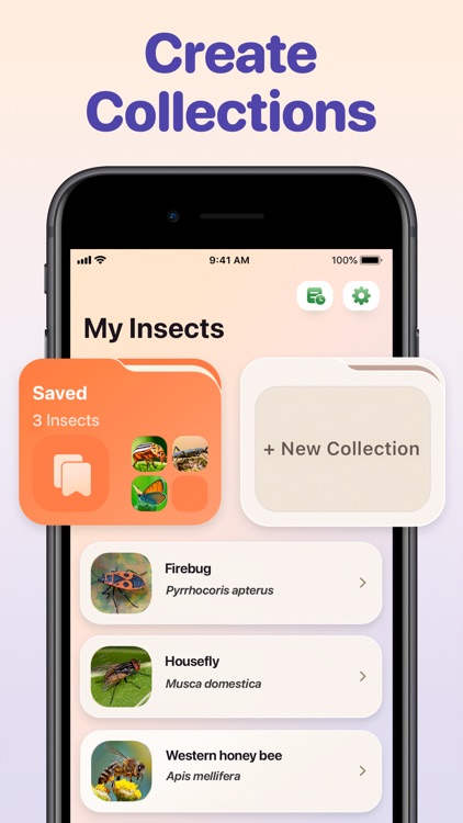 Bug ID - Insect Identifier screenshot-5