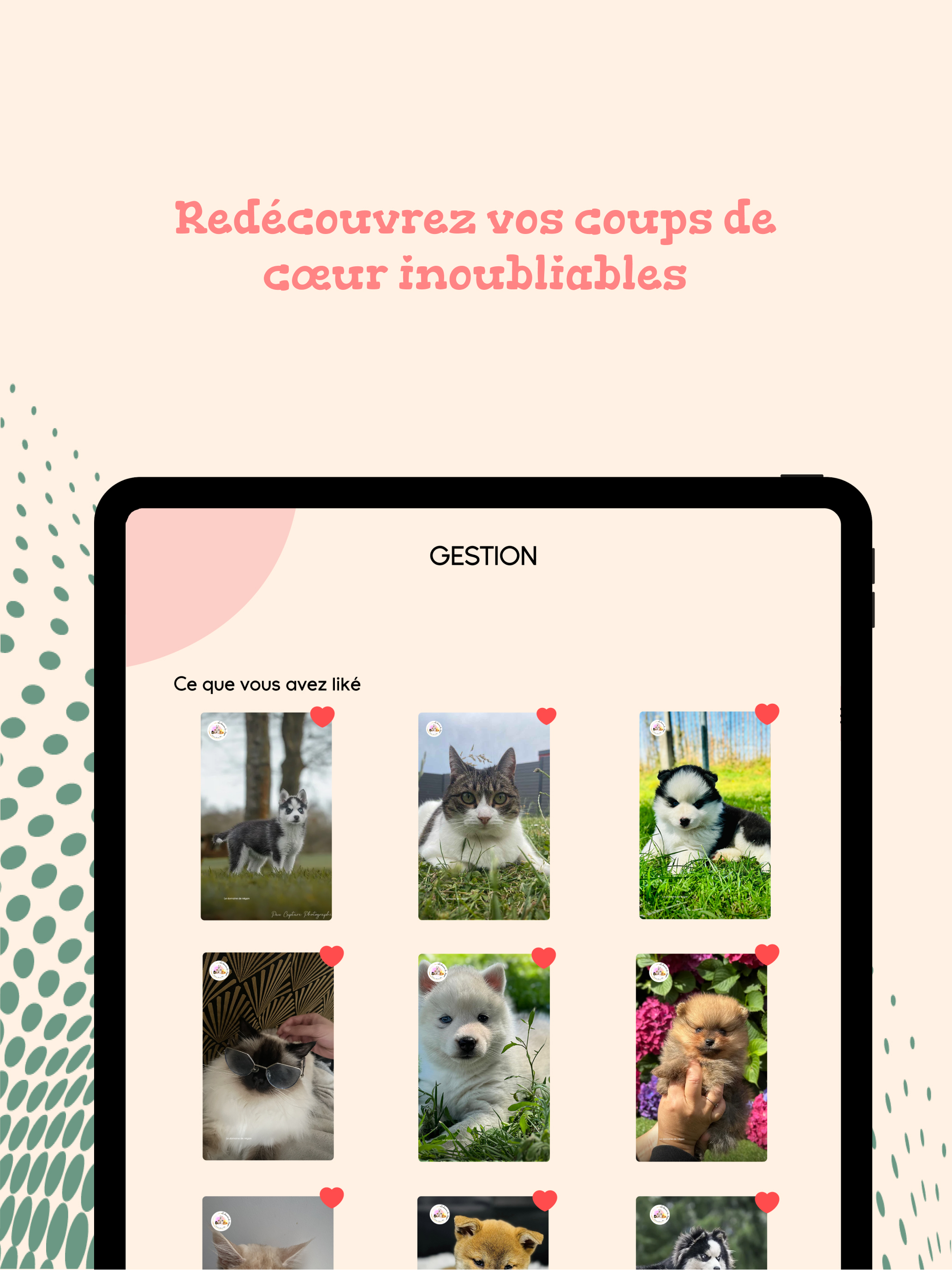 PetsMatch screenshot 7