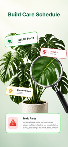Leafix: Plant Identifier, Care Screenshot 6 of 7