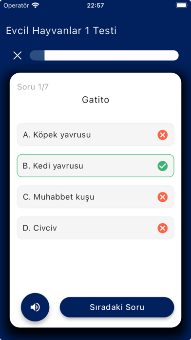 7 Kartla İspanyolca Screenshot