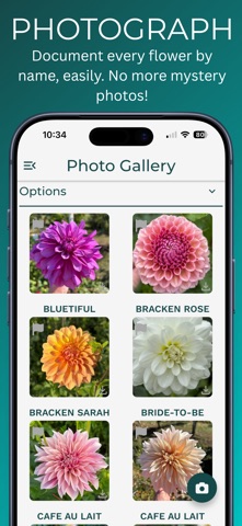 Dahlia Wizard - Plan & Trade iPhone screenshot