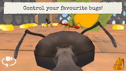 Bugs & Insects VR/AR Kid Game Screenshot