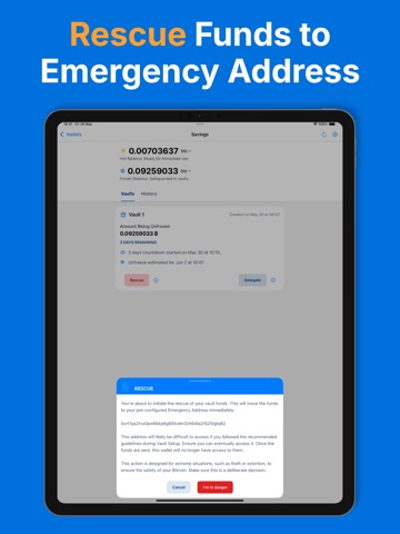 Rewind Bitcoin Wallet iPad screenshot