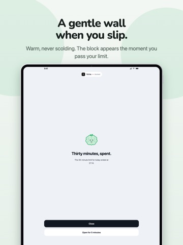 DetoxBrain: Screen Time, Focus iPad screenshot