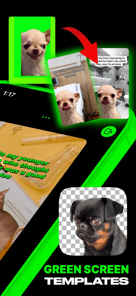 Meme Maker Green Screen - Photo & Video App | MWM