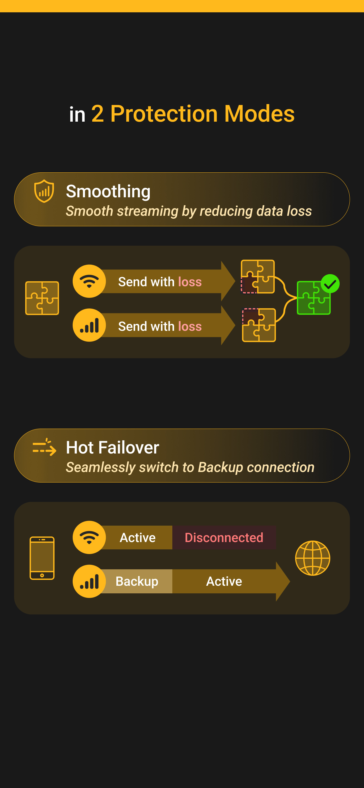 SpeedFusion Connect