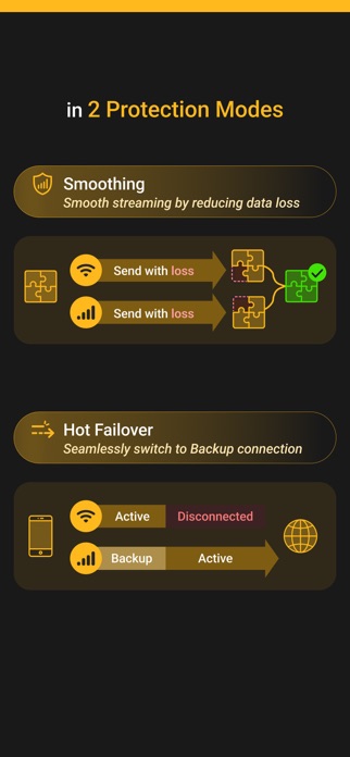 SpeedFusion Connect Screenshot 4 of 7
