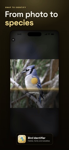 Bird Identifier: Species ID Screenshot 6 of 6