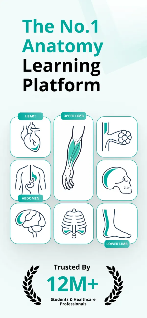 Screenshot #1 pour TeachMe Anatomy: 3D Human Body