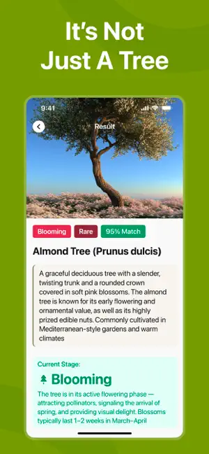 Tree Identifier: Flora Scanner screenshot 2