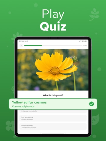Plant Identifier - Plantium iPad screenshot