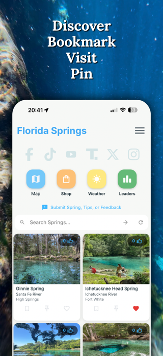 Florida Springs Screenshot 2 of 9