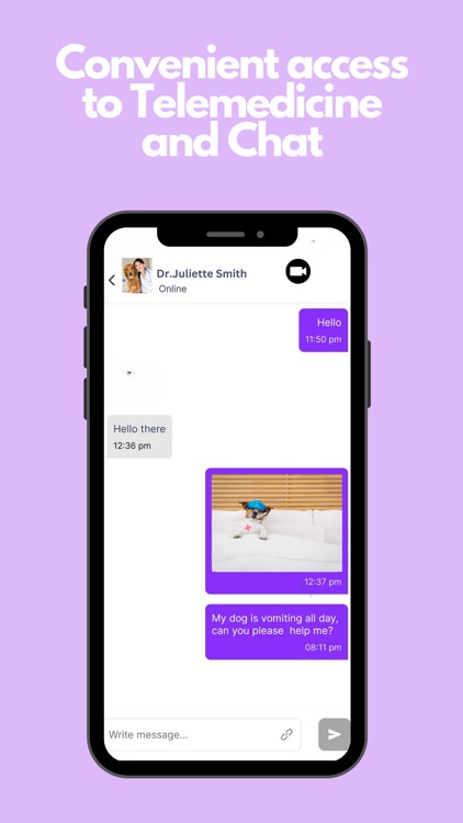 FareVet - Pet Cost Comparison