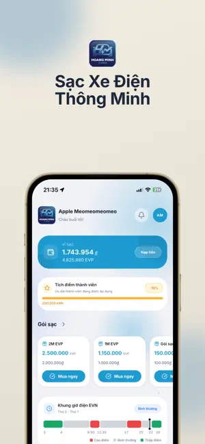 HM Charging screenshot 1