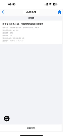 WellinOS Lite screenshot
