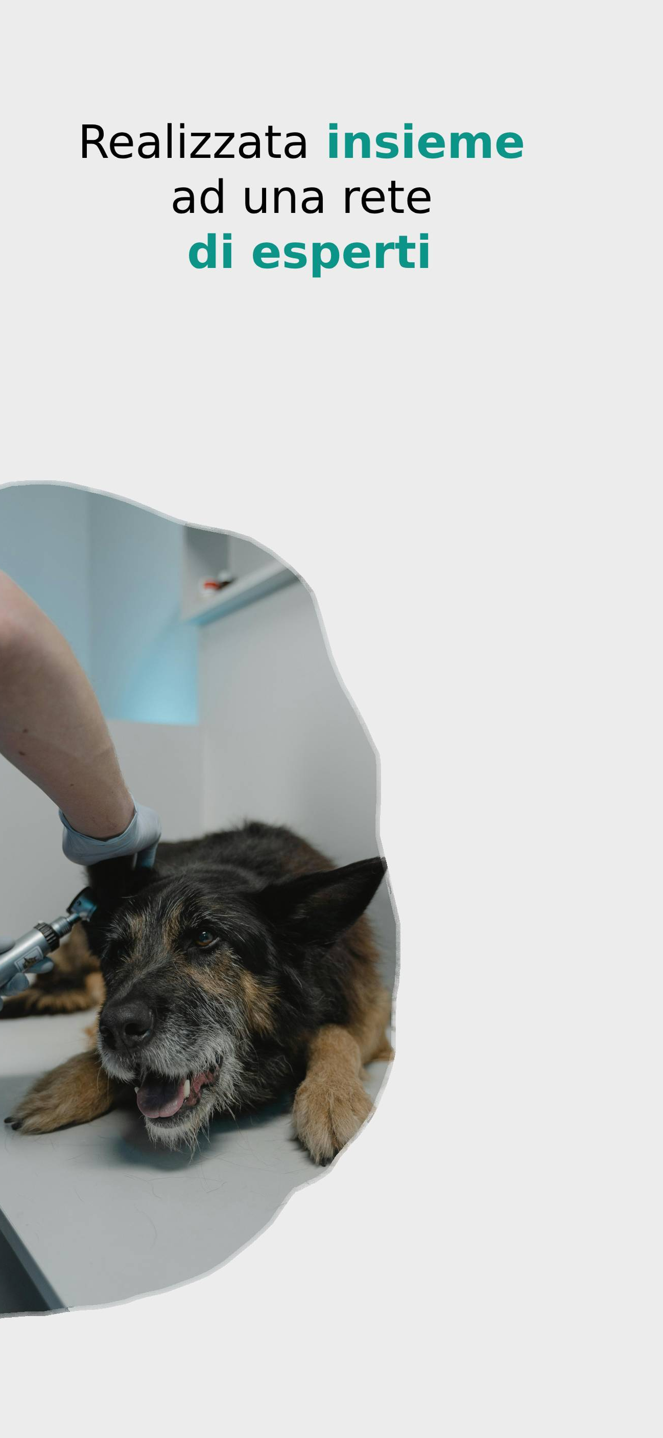 PetDegree screenshot 6
