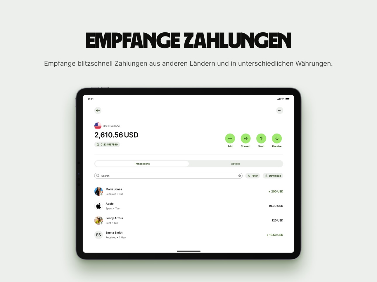 iPad screenshot
