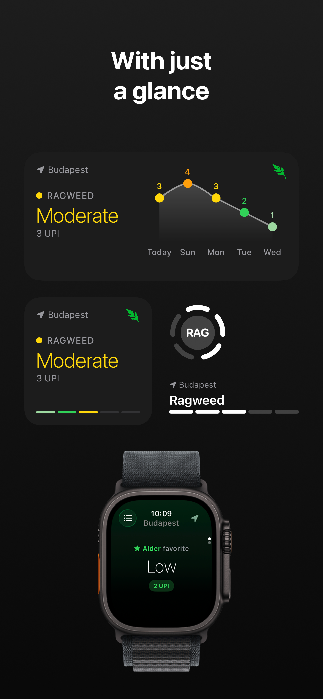 Ragweed screenshot 5